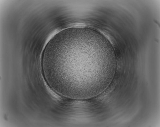 X0000097491475200802291420