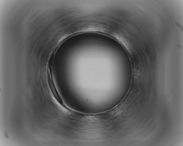 X0000097491476200802291420