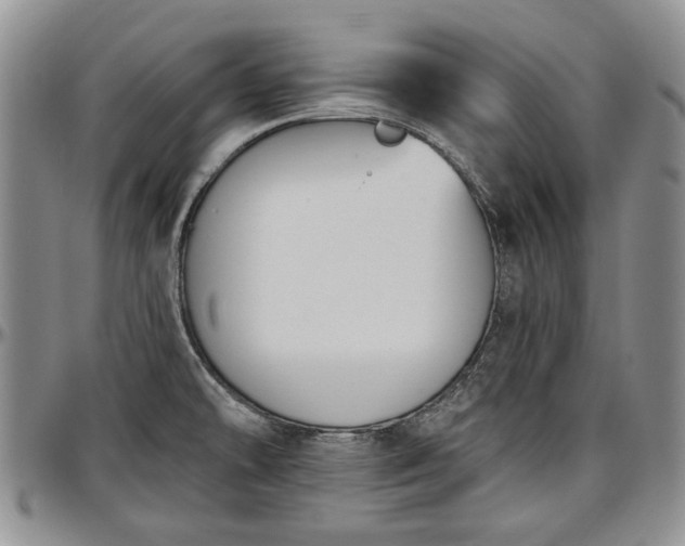 X0000097491478200802291419