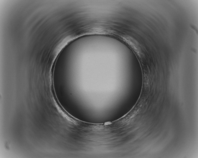 X0000097491479200802291419