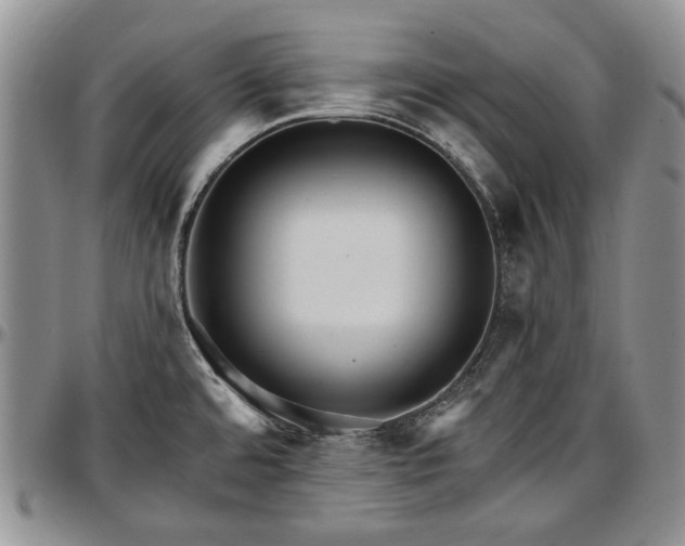 X0000097491480200802291419