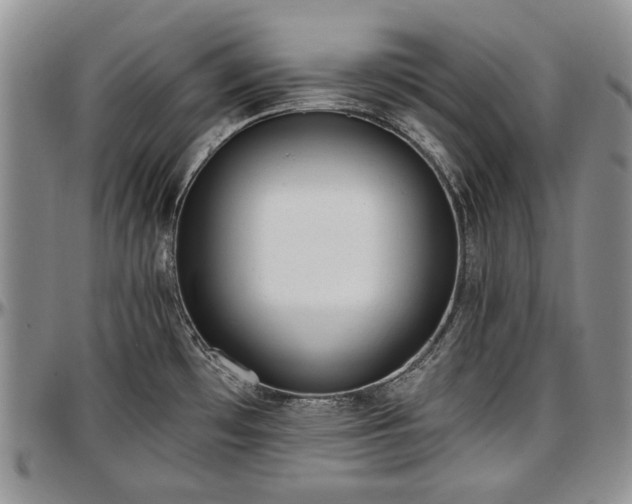 X0000097491481200802291419