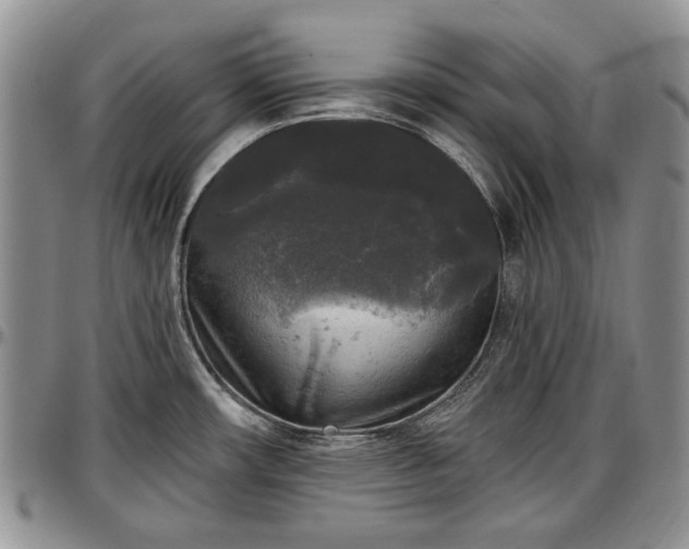 X0000097491482200802291419