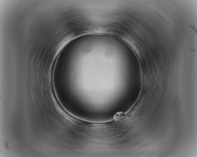 X0000097491483200802291419