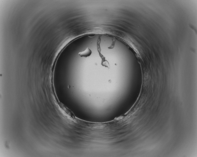 X0000097491484200802291419