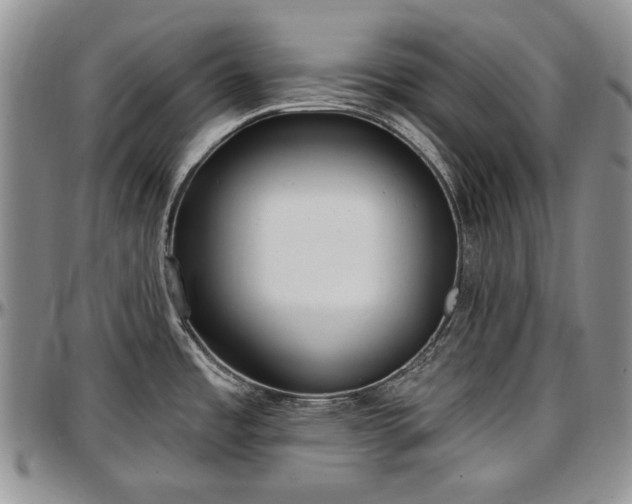 X0000097491485200802291419