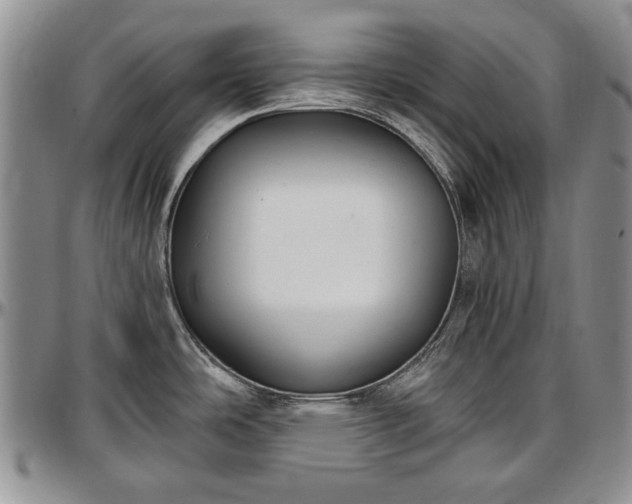 X0000097491486200802291419