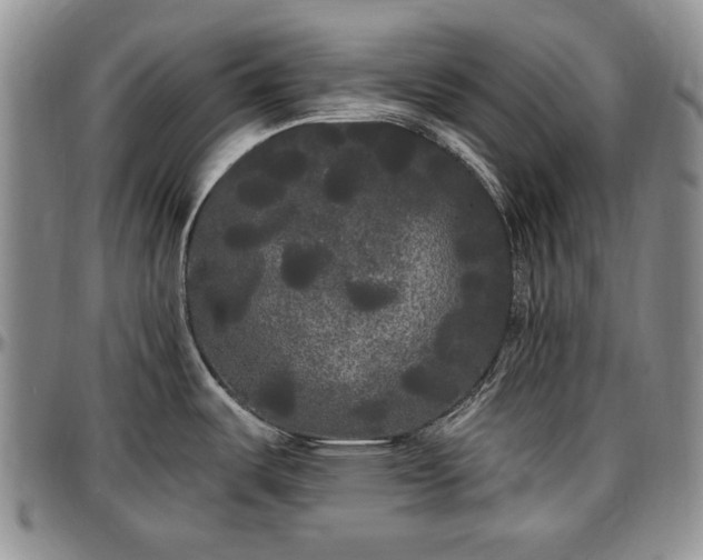 X0000097491487200802291419