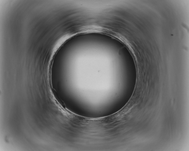 X0000097491488200802291419