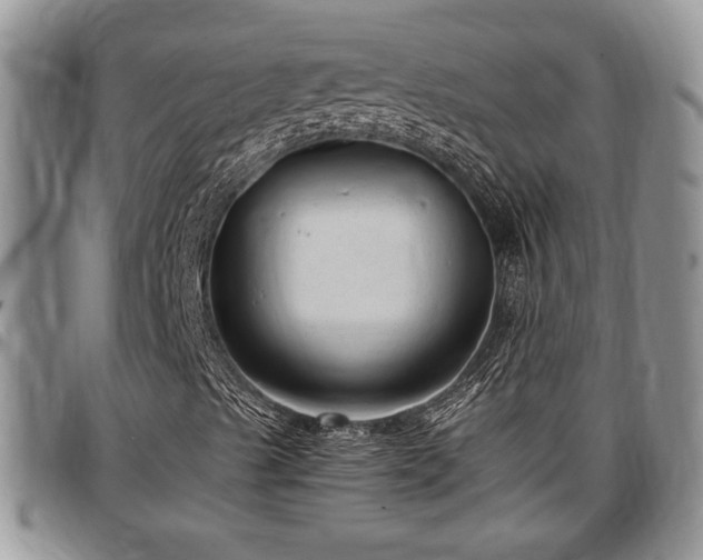 X0000097491489200802291419