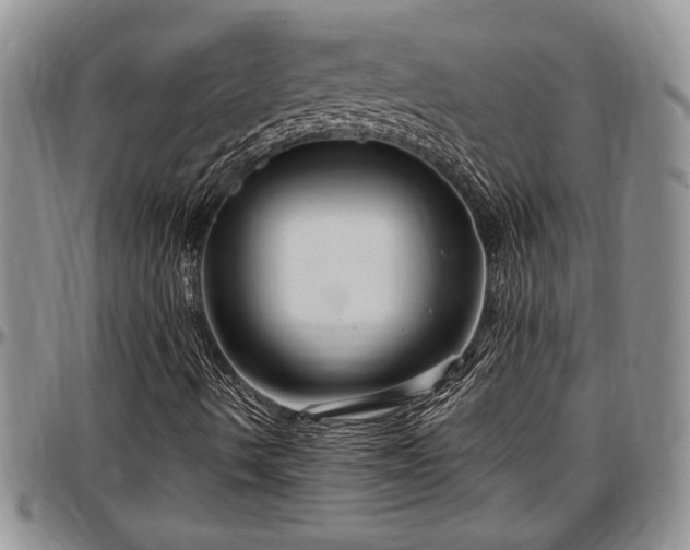 X0000097491490200802291419