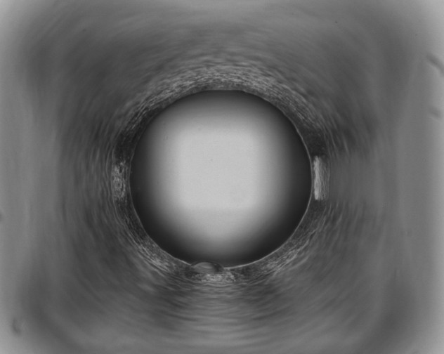 X0000097491491200802291419