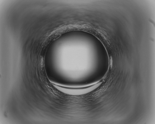 X0000097491492200802291419