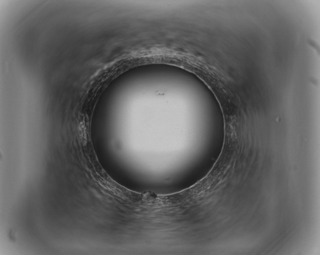 X0000097491493200802291419