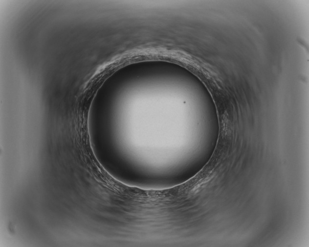 X0000097491494200802291419