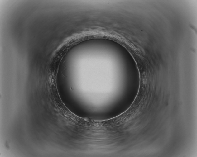 X0000097491495200802291419