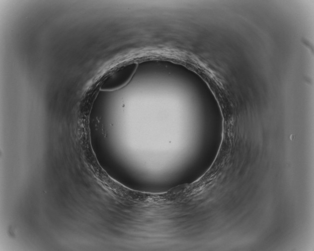 X0000097491496200802291419