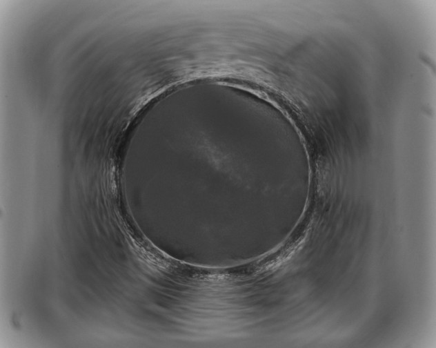 X0000097491497200802291419