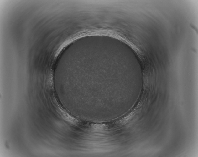 X0000097491498200802291419