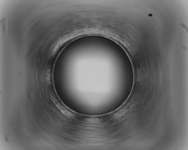 X0000097491499200802291419