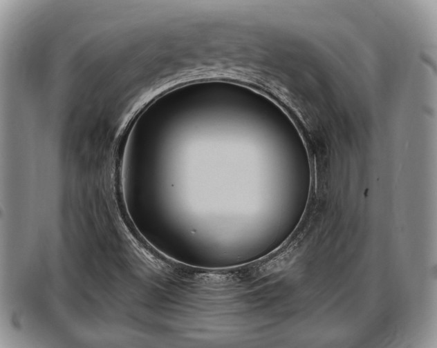 X0000097491500200802291419