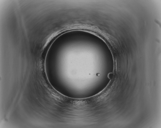 X0000097491501200802291419