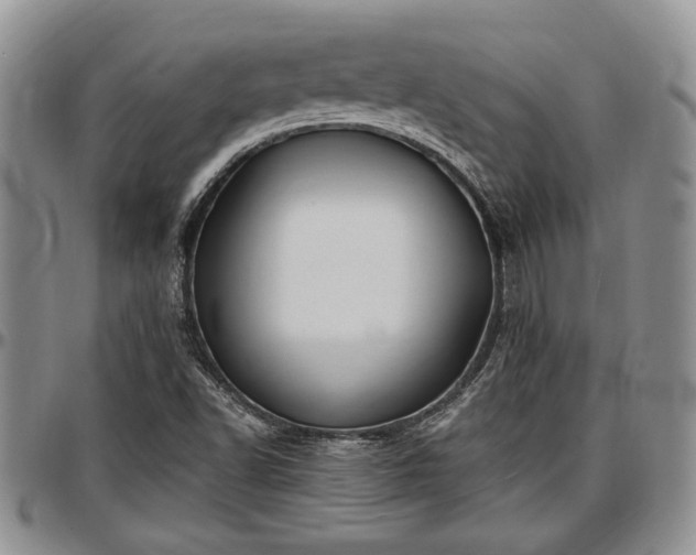 X0000097491502200802291419