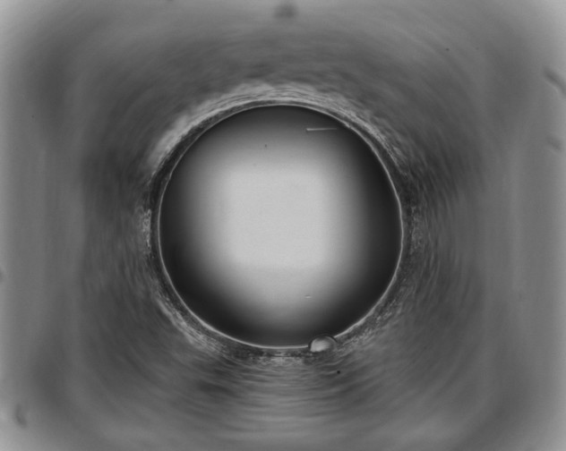 X0000097491503200802291419