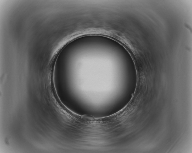 X0000097491504200802291419