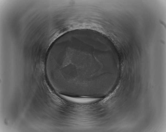 X0000097491505200802291419