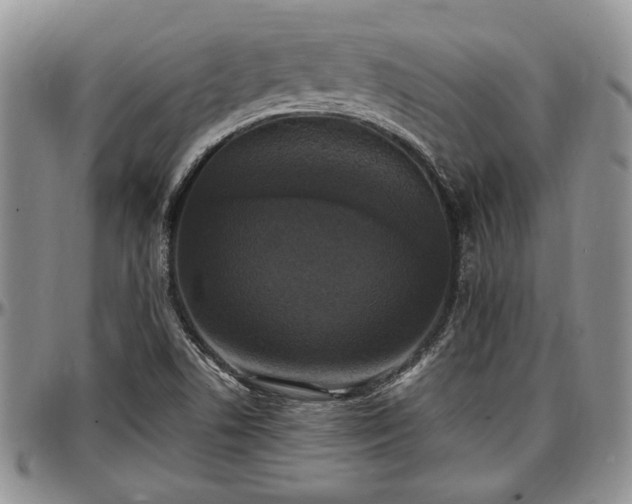 X0000097491506200802291419