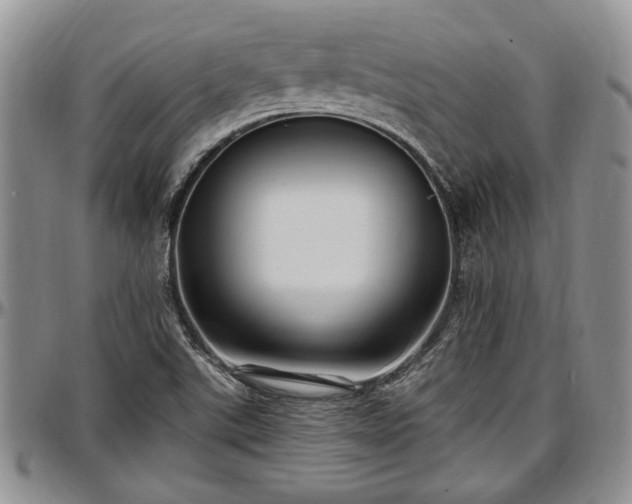 X0000097491507200802291419