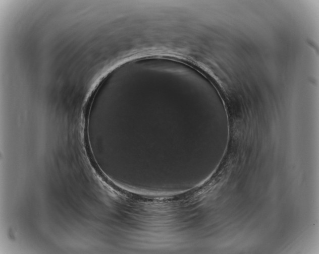 X0000097491508200802291419