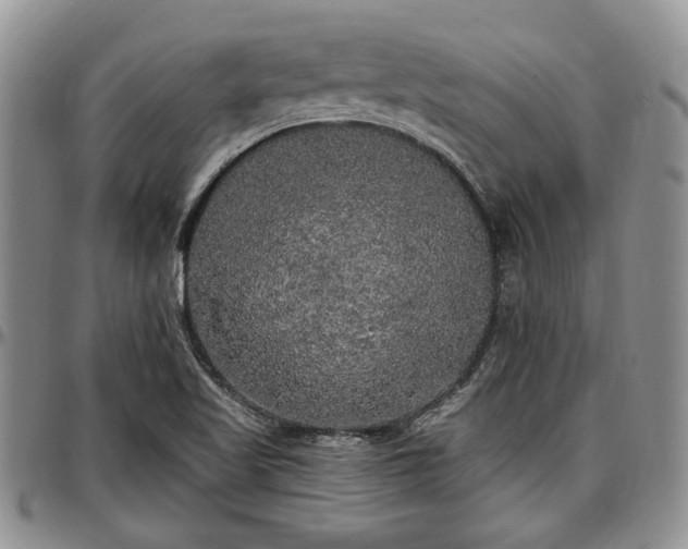 X0000097491509200802291419