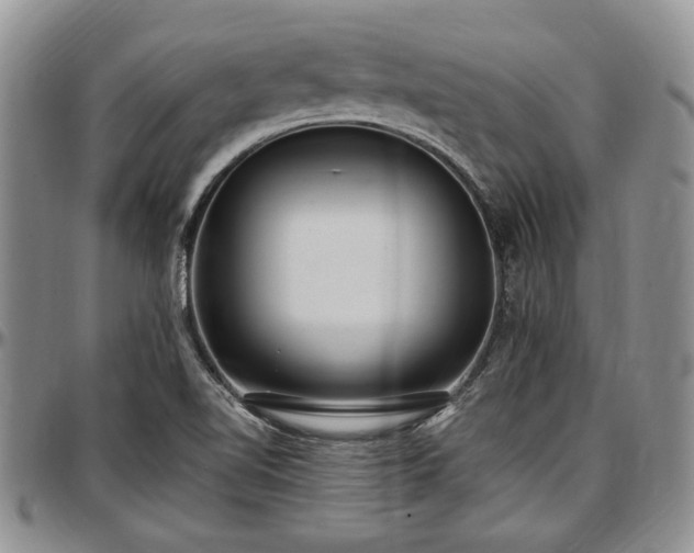 X0000097491510200802291419