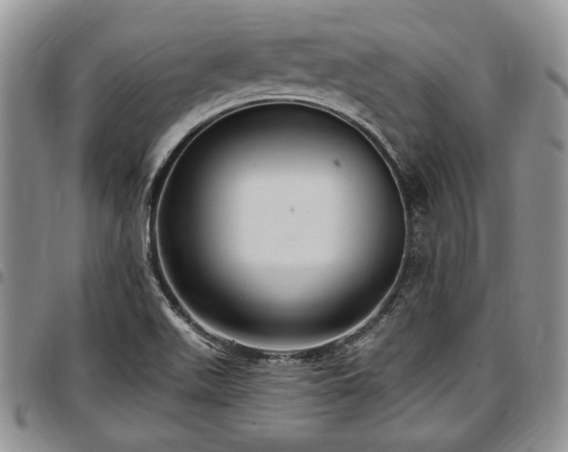 X0000097491511200802291419