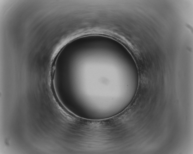 X0000097491512200802291419