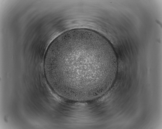 X0000097491513200802291419