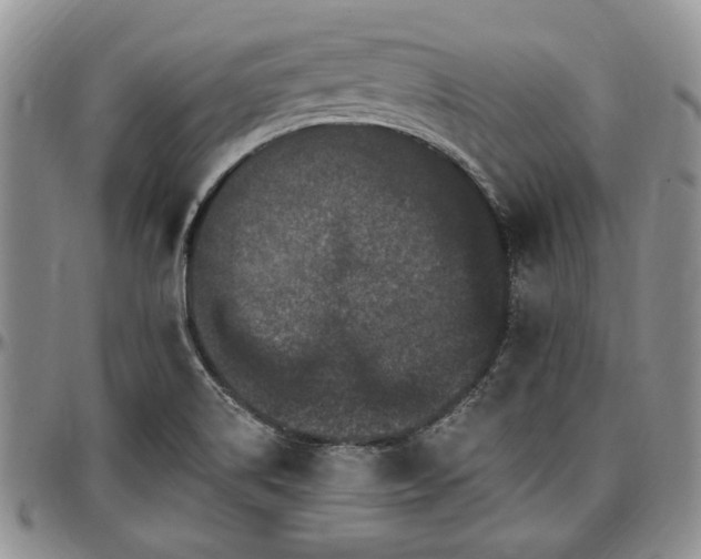 X0000097491514200802291419