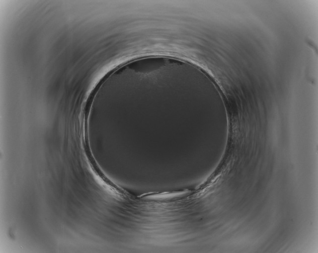 X0000097491515200802291419