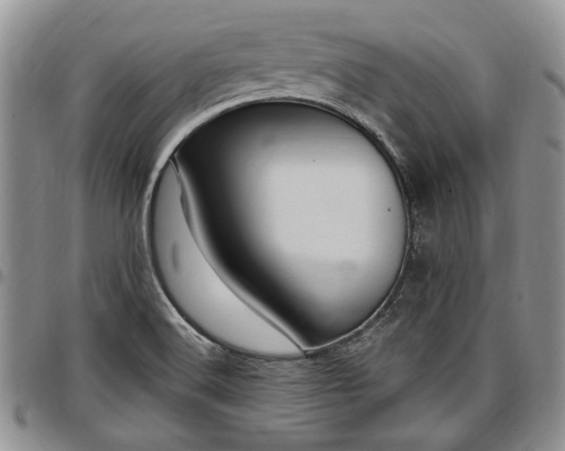 X0000097491516200802291419