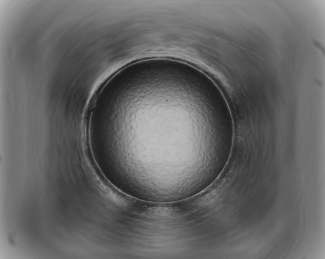 X0000097491517200802291419