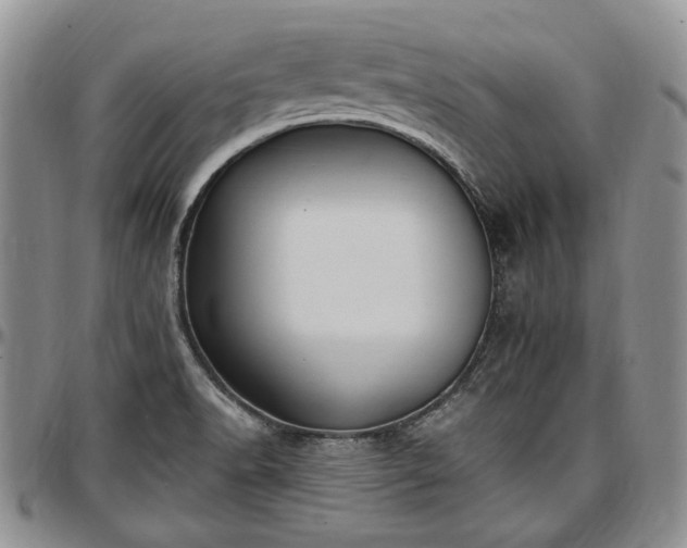 X0000097491518200802291419