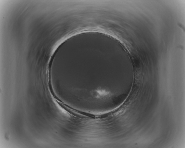 X0000097491519200802291419