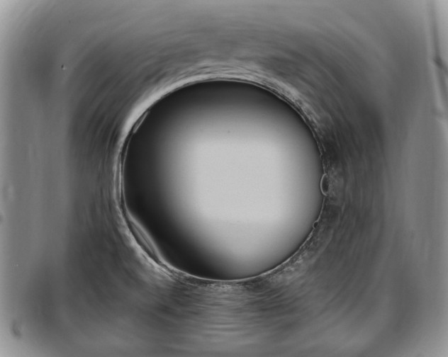 X0000097491520200802291419