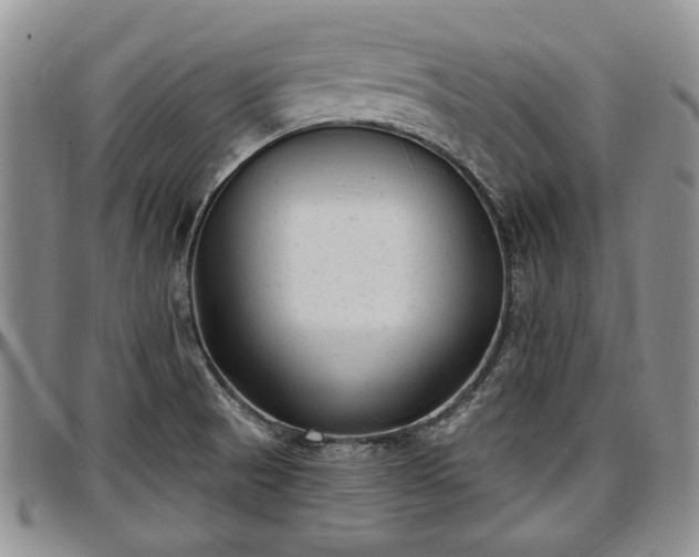 X0000097491521200802291419