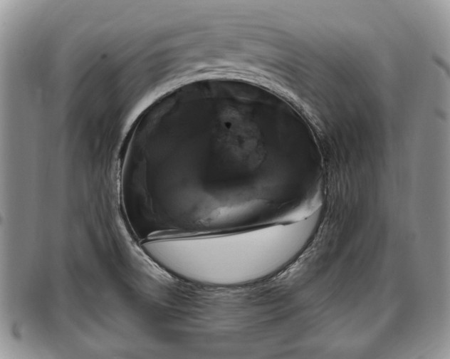 X0000097491522200802291419