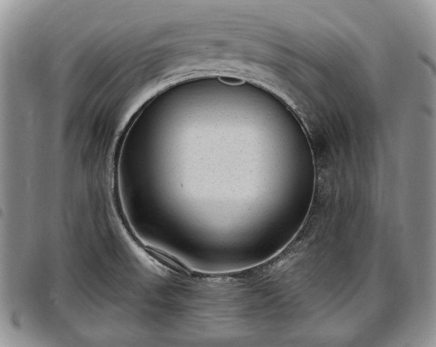 X0000097491523200802291419