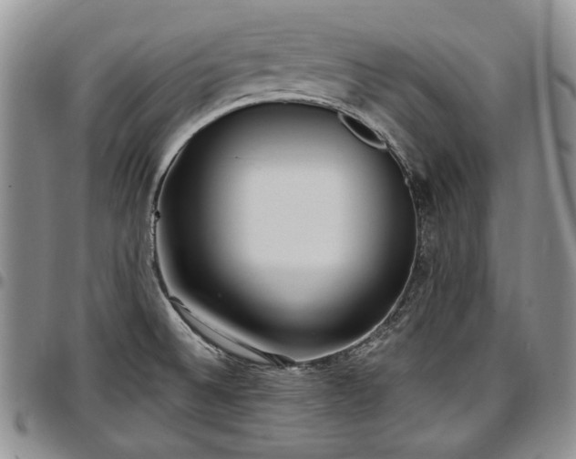 X0000097491524200802291419