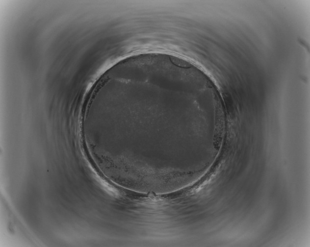 X0000097491525200802291419